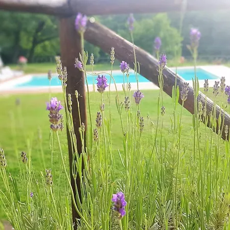 Villa Querce *